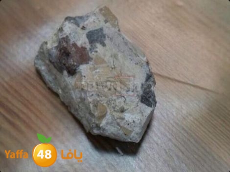 kanes yahody 0202 (2).jpg